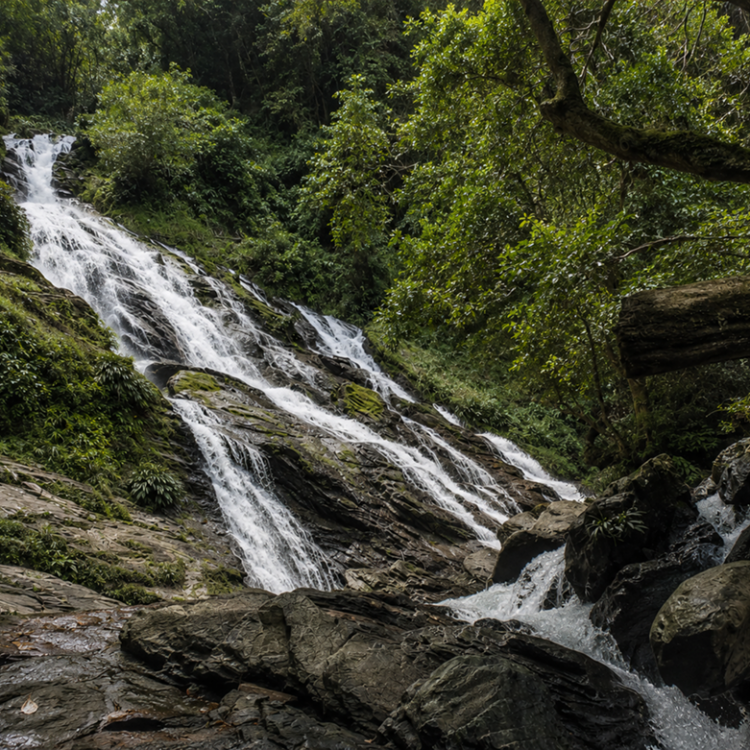 cascada